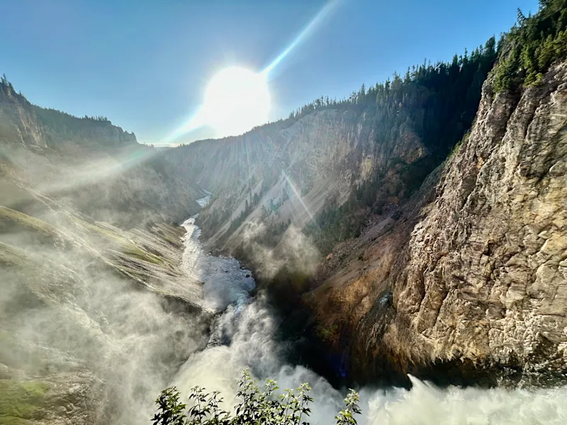 A Guide’s View: The Yellowstone Moments Most Miss