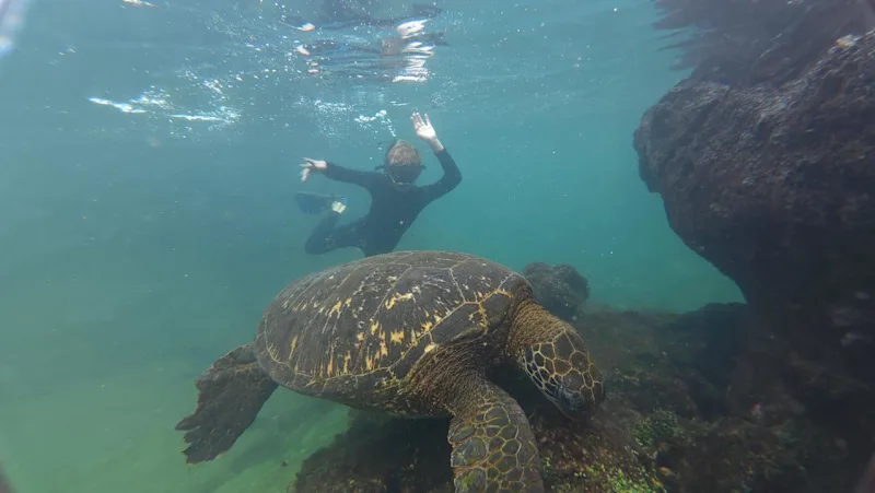Taking Kids to the Galápagos Islands: Why Land-Based Island Hopping Works So Well for Families