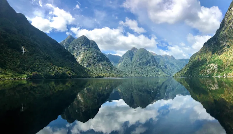 Discover New Zealand’s Wild Heart: A Guided Fiordland Adventure Like No Other