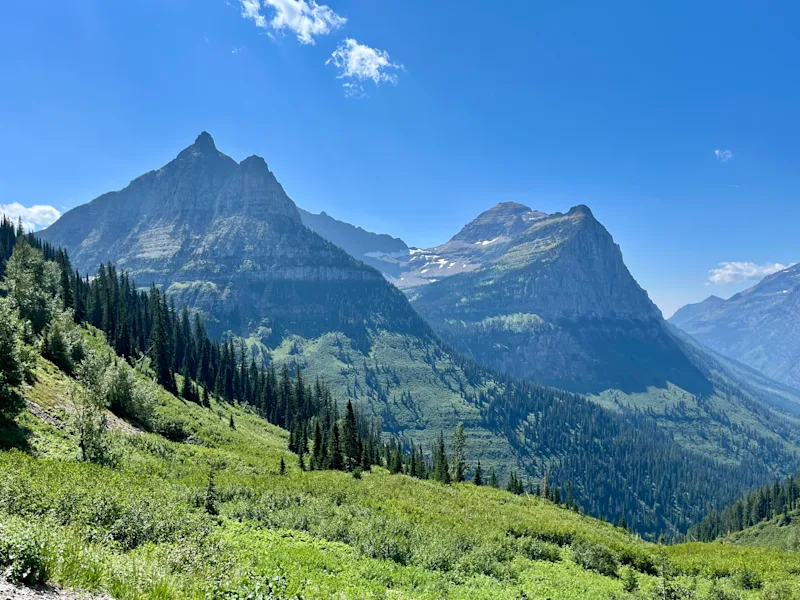 Fun Facts About America's National Parks