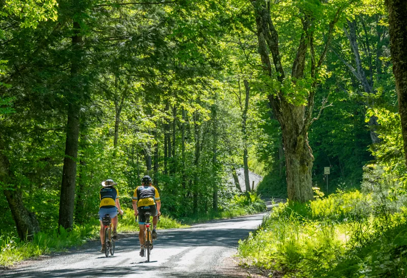 What Does a Fully Supported Bike Tour Really Mean?